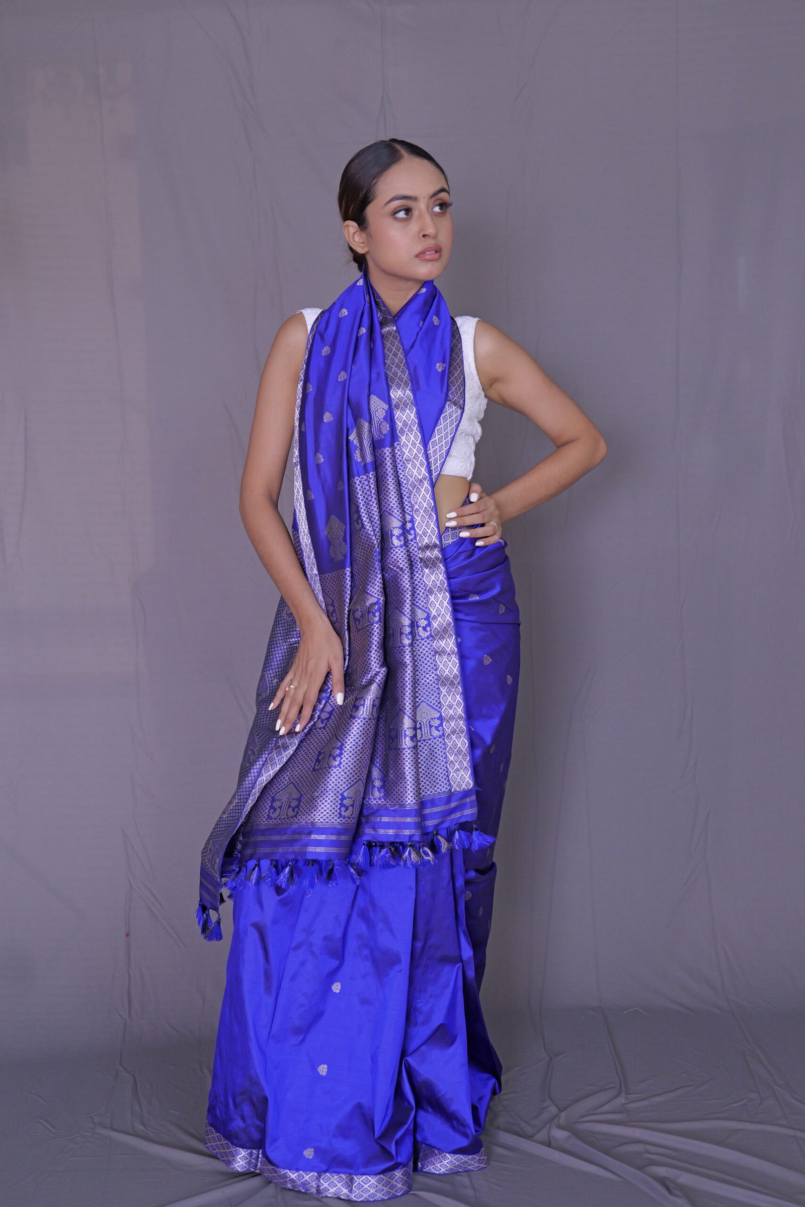 Royal Blue Mulberry (Paat) Silk Saree With Silver Zari Motifs