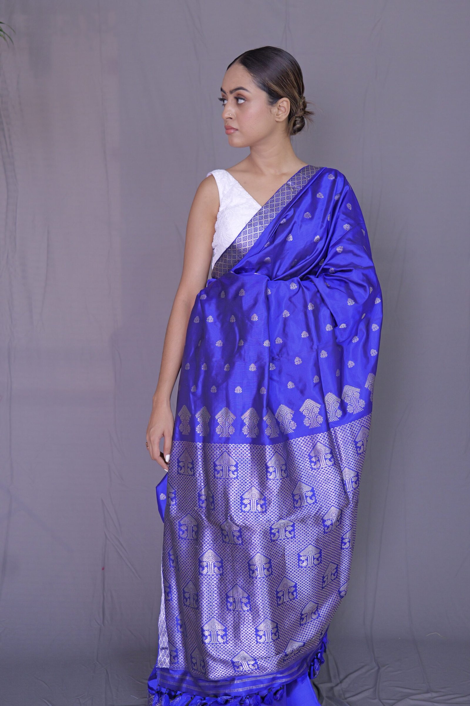 Royal Blue Mulberry (Paat) Silk Saree With Silver Zari Motifs - Image 3