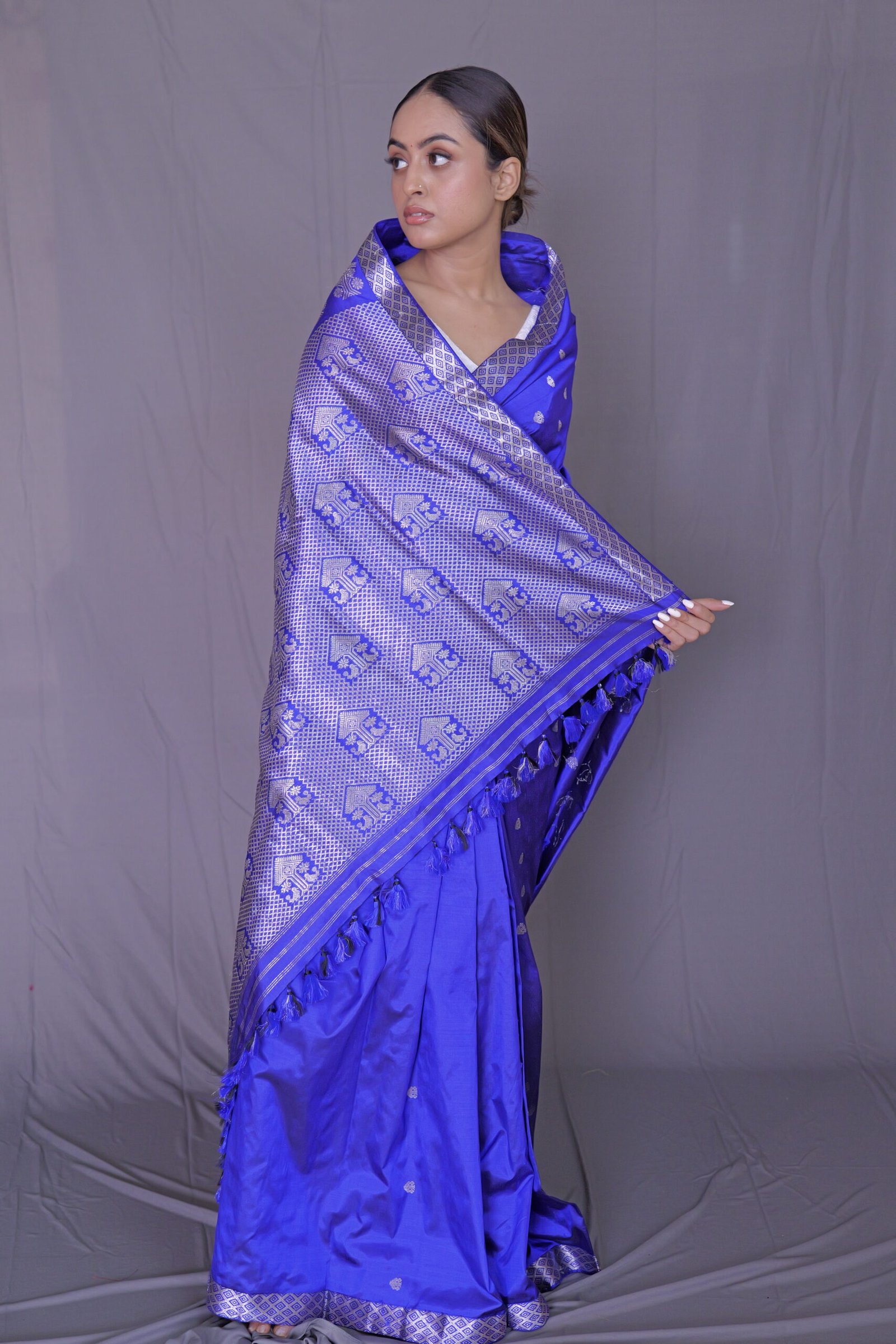 Royal Blue Mulberry (Paat) Silk Saree With Silver Zari Motifs - Image 2