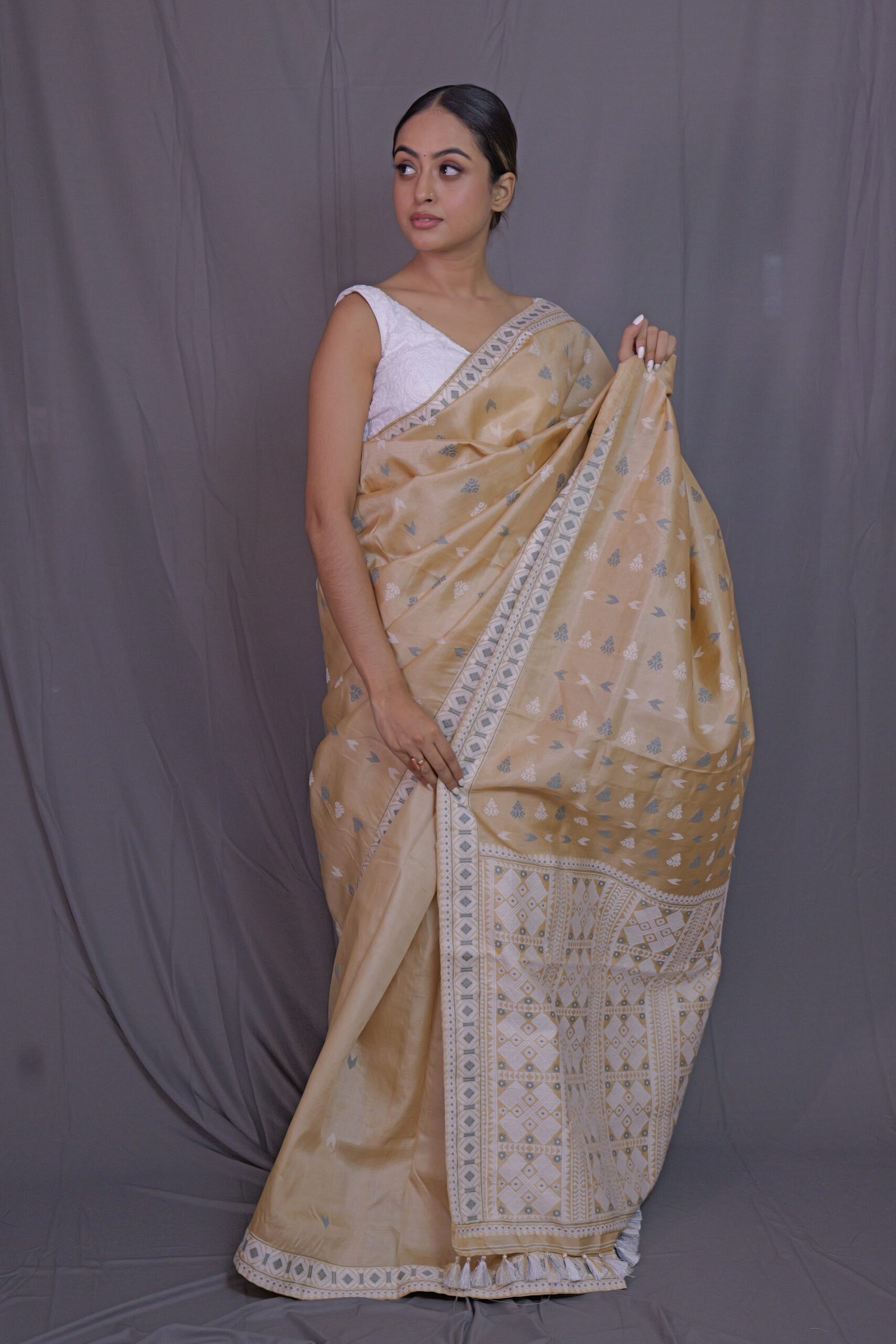 Tussar Silk Saree With White And Grey Thread Motifs