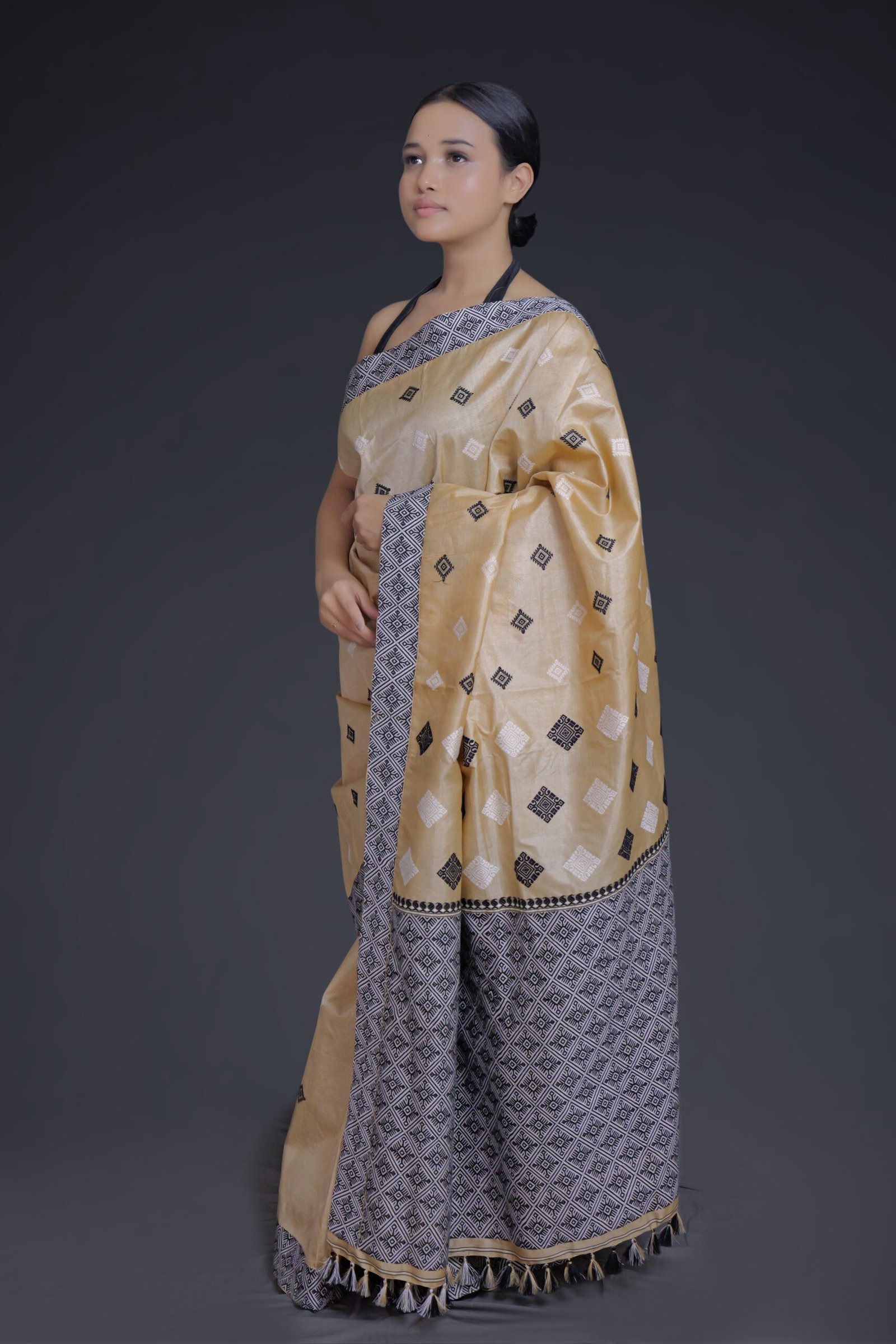 Tussar Silk Saree with Black and White Motifs