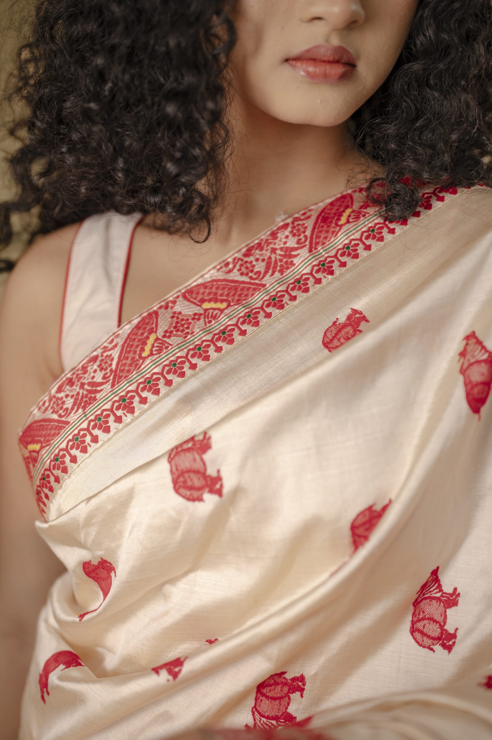 Tussar Mulberry (Paat) Silk Saree With Rhino Motifs - Image 3