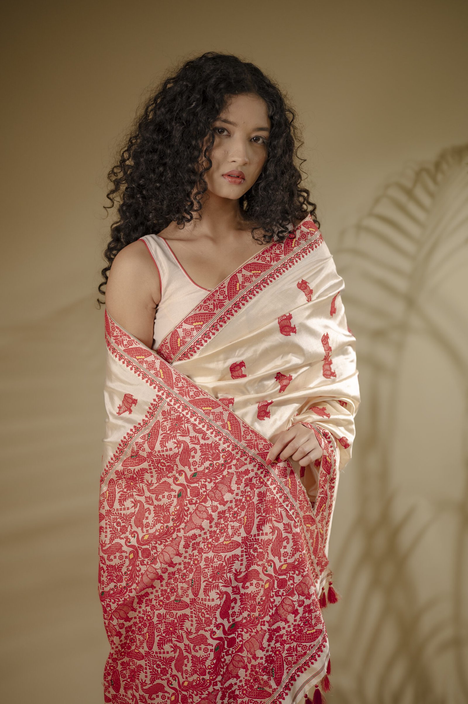 Tussar Mulberry (Paat) Silk Saree With Rhino Motifs - Image 6